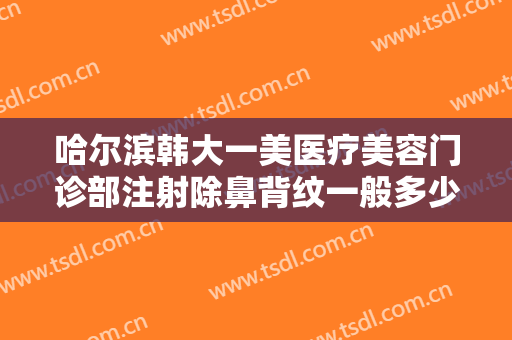 哈尔滨韩大一美医疗美容门诊部注射除鼻背纹一般多少费用?效果怎么样?