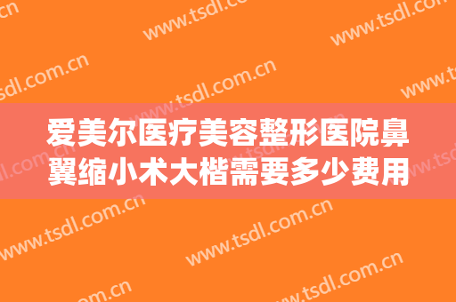 爱美尔医疗美容整形医院鼻翼缩小术大楷需要多少费用?贵不贵?(整鼻子鼻翼缩小多少钱)