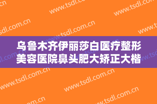 乌鲁木齐伊丽莎白医疗整形美容医院鼻头肥大矫正大楷需要多少钱?怎么样?