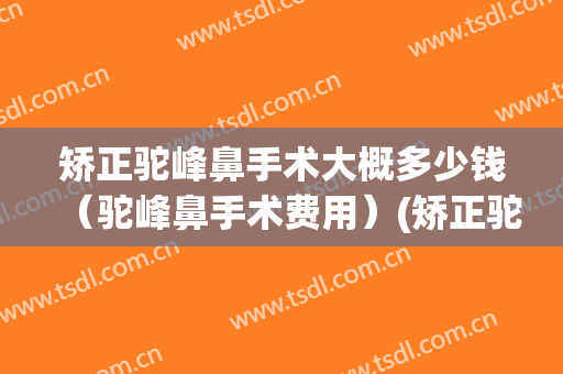 矫正驼峰鼻手术大概多少钱（驼峰鼻手术费用）(矫正驼峰鼻需要多少钱)