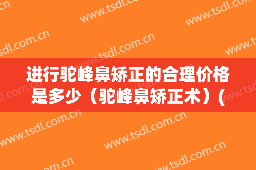 进行驼峰鼻矫正的合理价格是多少（驼峰鼻矫正术）(驼峰鼻矫正 硅胶隆鼻)