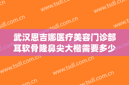 武汉恩吉娜医疗美容门诊部耳软骨隆鼻尖大楷需要多少费用?靠谱吗?(武汉恩吉娜隆鼻怎么样)