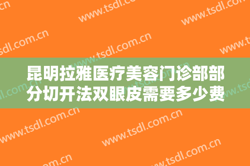 昆明拉雅医疗美容门诊部部分切开法双眼皮需要多少费用?效果怎么样?