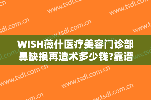 WISH薇什医疗美容门诊部鼻缺损再造术多少钱?靠谱吗?