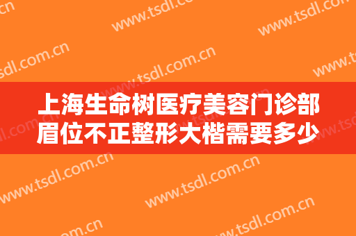 上海生命树医疗美容门诊部眉位不正整形大楷需要多少费用?好不好?