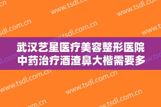 武汉艺星医疗美容整形医院中药治疗酒渣鼻大楷需要多少钱?贵不贵?
