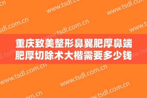 重庆致美整形鼻翼肥厚鼻端肥厚切除术大楷需要多少钱?多长时间恢复?
