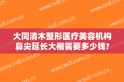 大同清木整形医疗美容机构鼻尖延长大楷需要多少钱?怎么样?