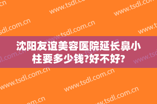 沈阳友谊美容医院延长鼻小柱要多少钱?好不好?