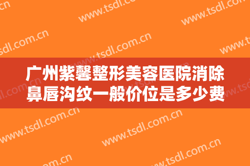 广州紫馨整形美容医院消除鼻唇沟纹一般价位是多少费用?贵不贵?