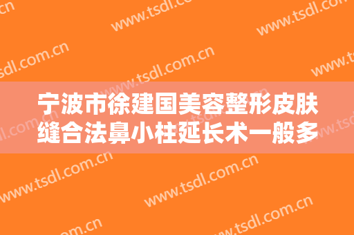 宁波市徐建国美容整形皮肤缝合法鼻小柱延长术一般多少钱?怎么样?