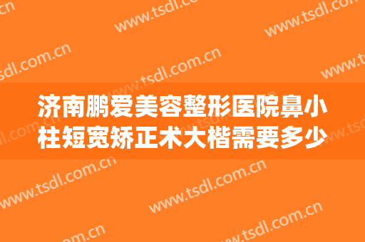 济南鹏爱美容整形医院鼻小柱短宽矫正术大楷需要多少钱?好不好?(鼻小柱矫正手术价格)
