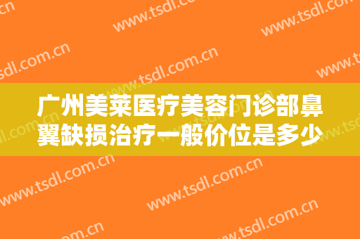广州美莱医疗美容门诊部鼻翼缺损治疗一般价位是多少钱?有哪些优势?