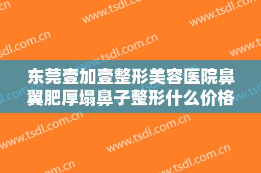 东莞壹加壹整形美容医院鼻翼肥厚塌鼻子整形什么价格?怎么样?