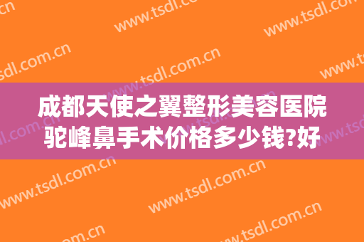 成都天使之翼整形美容医院驼峰鼻手术价格多少钱?好不好?(美容院瘦鼻翼多少钱)