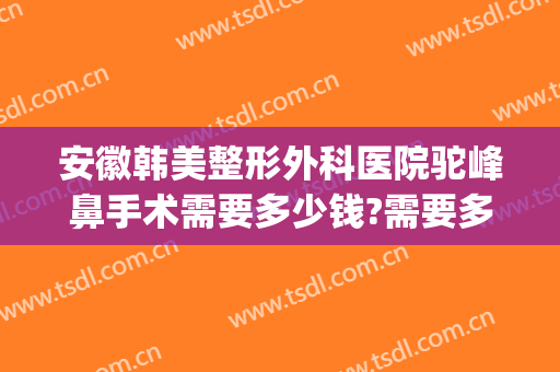 安徽韩美整形外科医院驼峰鼻手术需要多少钱?需要多久恢复?(整容驼峰鼻大概多少钱)