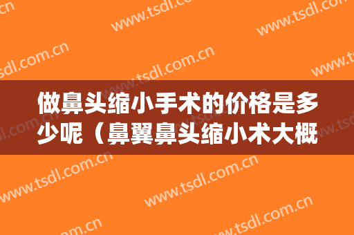 做鼻头缩小手术的价格是多少呢（鼻翼鼻头缩小术大概需要多少钱）(鼻翼鼻头缩小手术多少钱与过程)