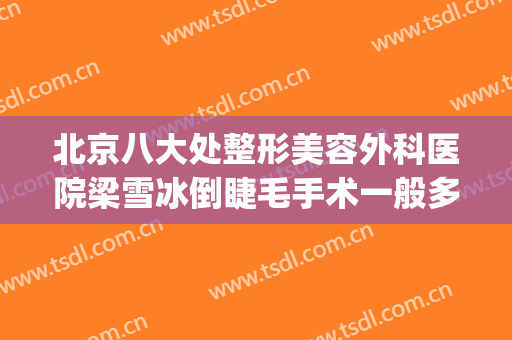 北京八大处整形美容外科医院梁雪冰倒睫毛手术一般多少钱?贵不贵?(梁雪冰 整形外科医院)