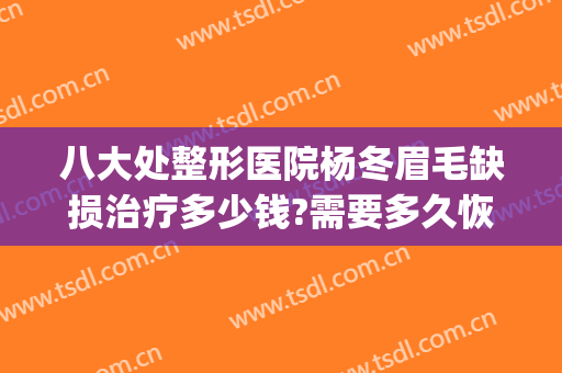 八大处整形医院杨冬眉毛缺损治疗多少钱?需要多久恢复?(八大处整形医院 眉毛)