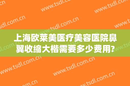上海欧莱美医疗美容医院鼻翼收缩大楷需要多少费用?效果怎么样?(收缩鼻翼整形多少钱)