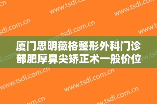 厦门思明薇格整形外科门诊部肥厚鼻尖矫正术一般价位是多少?贵不贵?