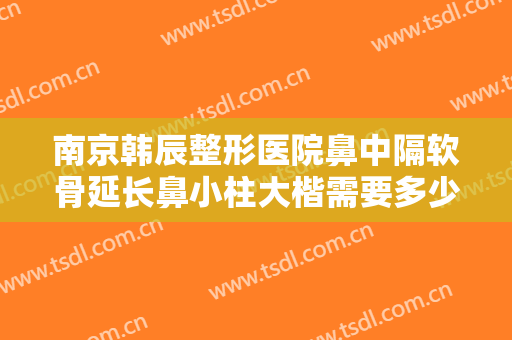 南京韩辰整形医院鼻中隔软骨延长鼻小柱大楷需要多少钱?需要多久恢复?