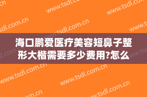 海口鹏爱医疗美容短鼻子整形大楷需要多少费用?怎么样?(鹏爱整容整形医院)