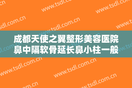 成都天使之翼整形美容医院鼻中隔软骨延长鼻小柱一般价位是多少?靠谱吗?