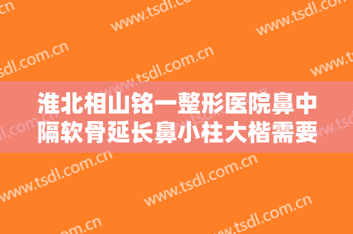淮北相山铭一整形医院鼻中隔软骨延长鼻小柱大楷需要多少费用?靠谱吗?