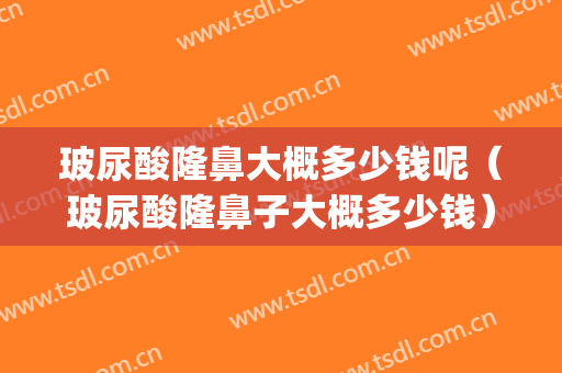 玻尿酸隆鼻大概多少钱呢（玻尿酸隆鼻子大概多少钱）(玻尿酸隆鼻子一般多少钱)