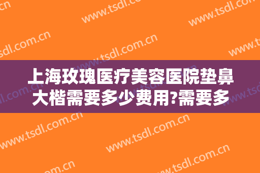 上海玫瑰医疗美容医院垫鼻大楷需要多少费用?需要多久恢复?