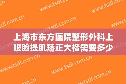 上海市东方医院整形外科上眼睑提肌矫正大楷需要多少钱?好不好?(上海东方医院整形价格)