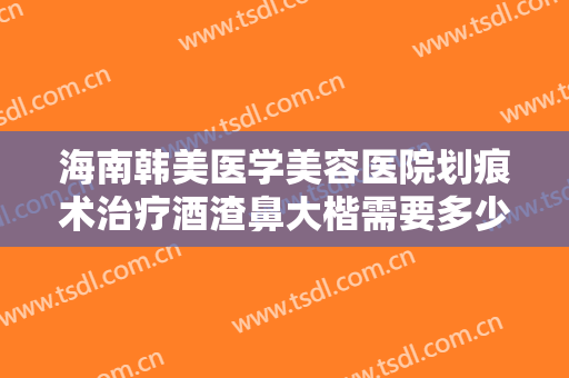 海南韩美医学美容医院划痕术治疗酒渣鼻大楷需要多少钱?效果怎么样?