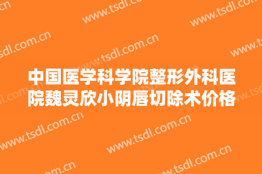 中国医学科学院整形外科医院魏灵欣小阴唇切除术价格表!效果怎么样?