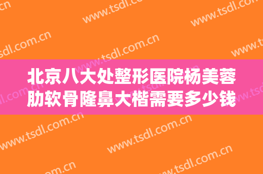 北京八大处整形医院杨美蓉肋软骨隆鼻大楷需要多少钱?可靠吗?(北京整容医院隆鼻)