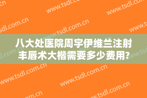 八大处医院周宇伊维兰注射丰唇术大楷需要多少费用?效果怎么样?