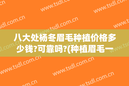 八大处杨冬眉毛种植价格多少钱?可靠吗?(种植眉毛一般要多少钱)