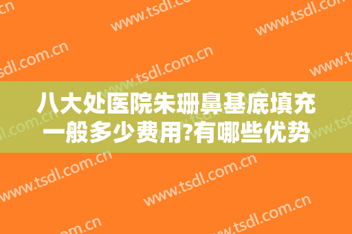 八大处医院朱珊鼻基底填充一般多少费用?有哪些优势?