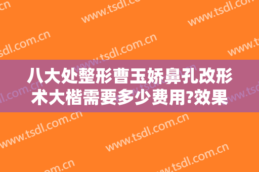 八大处整形曹玉娇鼻孔改形术大楷需要多少费用?效果怎么样?