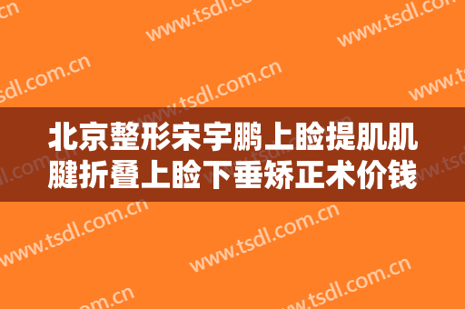 北京整形宋宇鹏上睑提肌肌腱折叠上睑下垂矫正术价钱?靠谱吗?