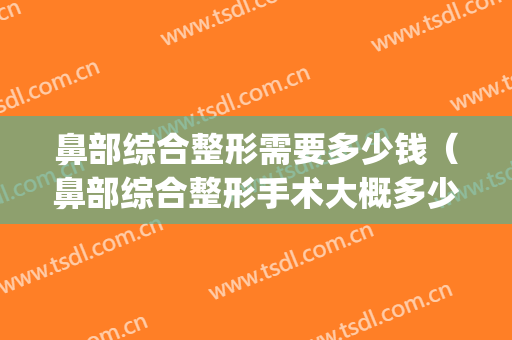 鼻部综合整形需要多少钱（鼻部综合整形手术大概多少钱）(做鼻综合手术一般多少钱)