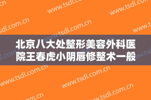 北京八大处整形美容外科医院王春虎小阴唇修整术一般价位是多少钱?好不好?