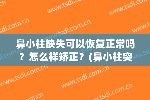 鼻小柱缺失可以恢复正常吗？怎么样矫正？(鼻小柱突出怎么修复)