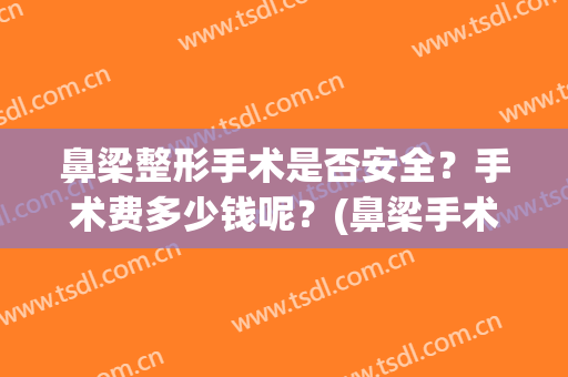 鼻梁整形手术是否安全？手术费多少钱呢？(鼻梁手术费用)
