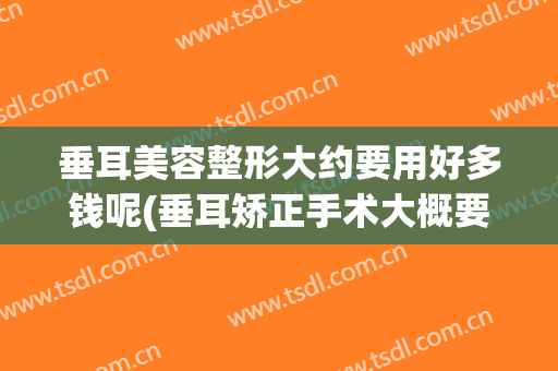 垂耳美容整形大约要用好多钱呢(垂耳矫正手术大概要多少钱)