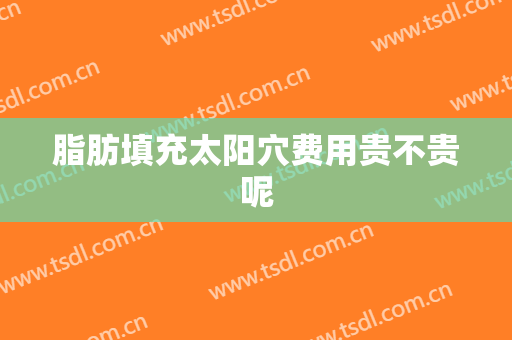 脂肪填充太阳穴费用贵不贵呢