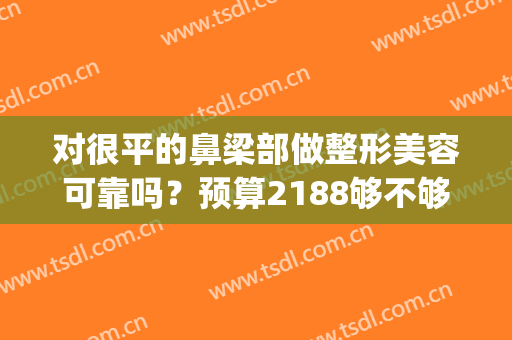 对很平的鼻梁部做整形美容可靠吗？预算2188够不够？(鼻子做挺会花多少钱)