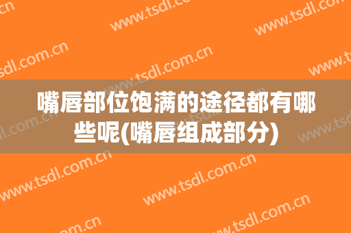 嘴唇部位饱满的途径都有哪些呢(嘴唇组成部分)
