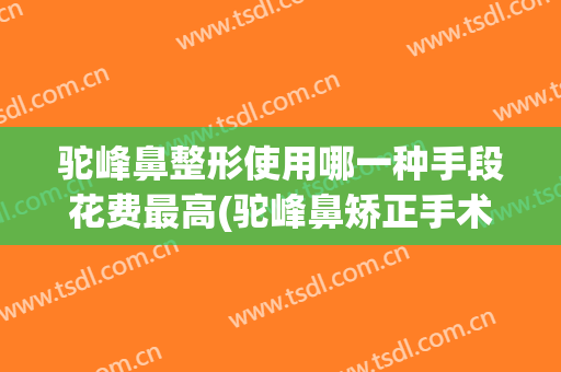 驼峰鼻整形使用哪一种手段花费最高(驼峰鼻矫正手术风险大吗)