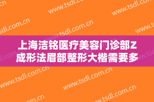 上海洁铭医疗美容门诊部Z成形法眉部整形大楷需要多少费用?好不好?